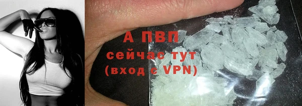 стаф Медногорск