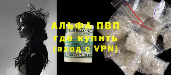 стаф Медногорск