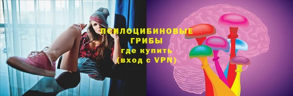 стаф Медногорск