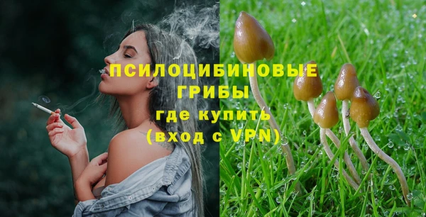 стаф Медногорск