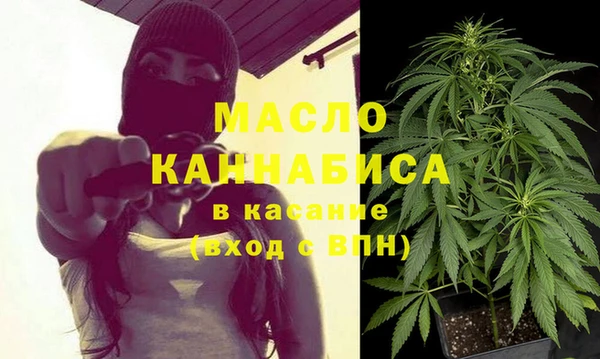 стаф Медногорск
