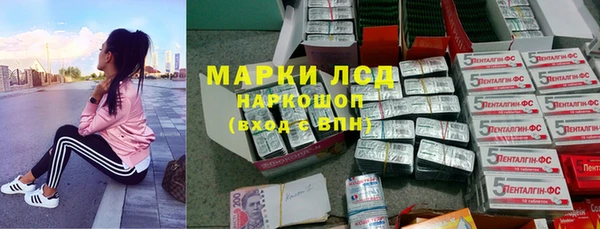 стаф Медногорск
