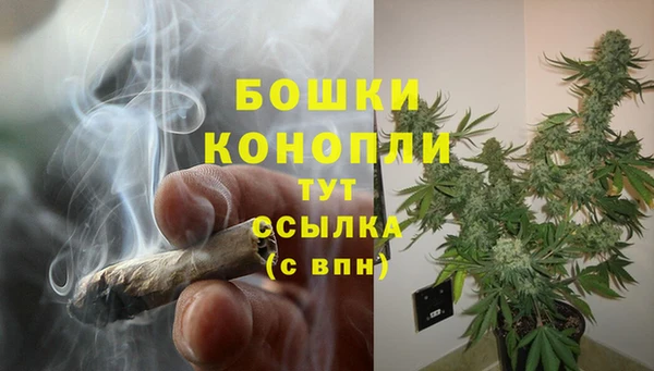 mdpv Медвежьегорск