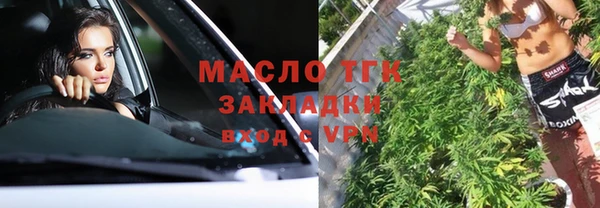 стаф Медногорск