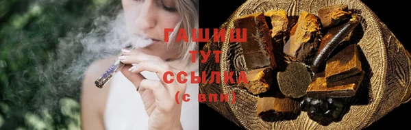 стаф Медногорск