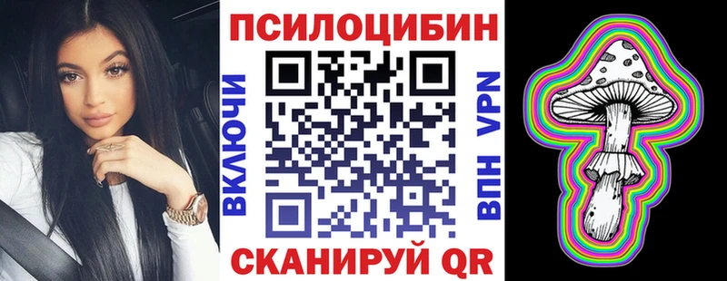 Псилоцибиновые грибы Psilocybe  Купить где  Североуральск 